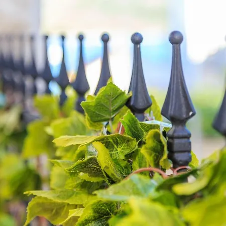 Primabella * Primošten