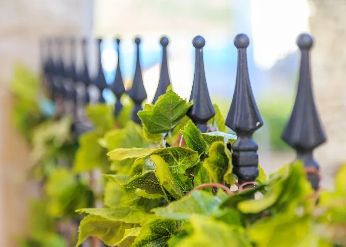 Primabella * プリモシュテン